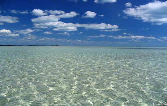 Clear waters of the Bahamas.