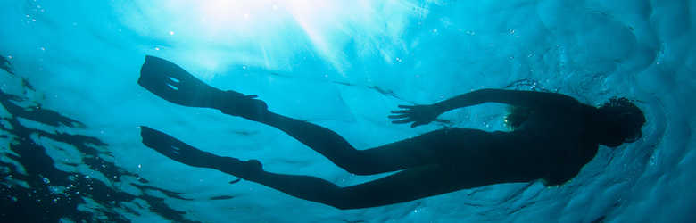 Long Island Diving
