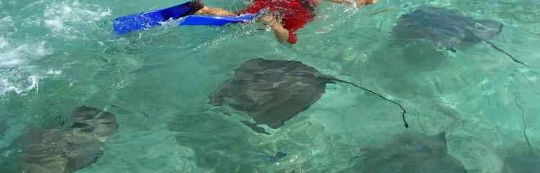 Long Island Diving