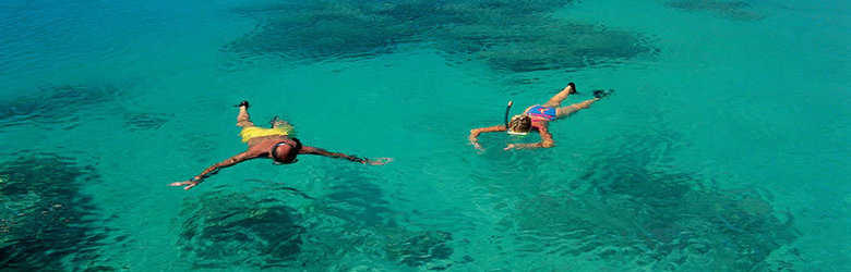 Long Island Diving